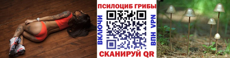 Галлюциногенные грибы Cubensis ОМГ ОМГ как войти Ленинск-Кузнецкий
