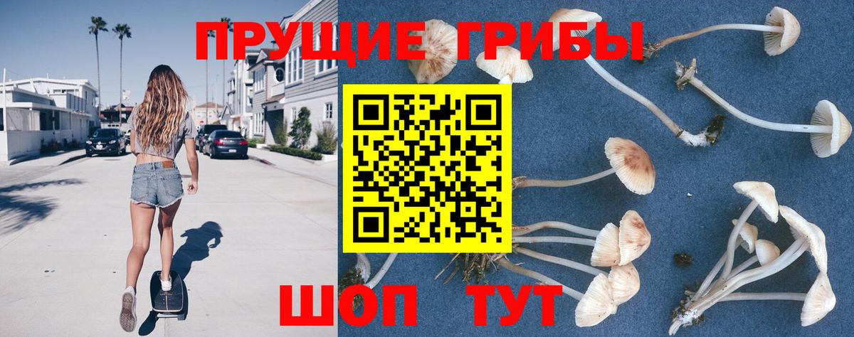 Ленинск-Кузнецкий  Псилоцибиновые грибы мицелий  Вход с VPN  Галлюциногенные грибы MAGIC MUSHROOMS 